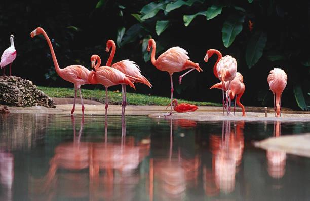 Вилла Agriturismo Oasis La Sdriscia Экстерьер фото
